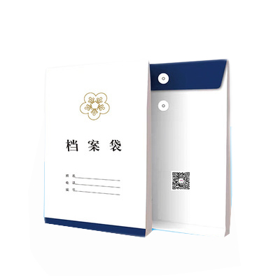 东莞企业档案袋（白色）
